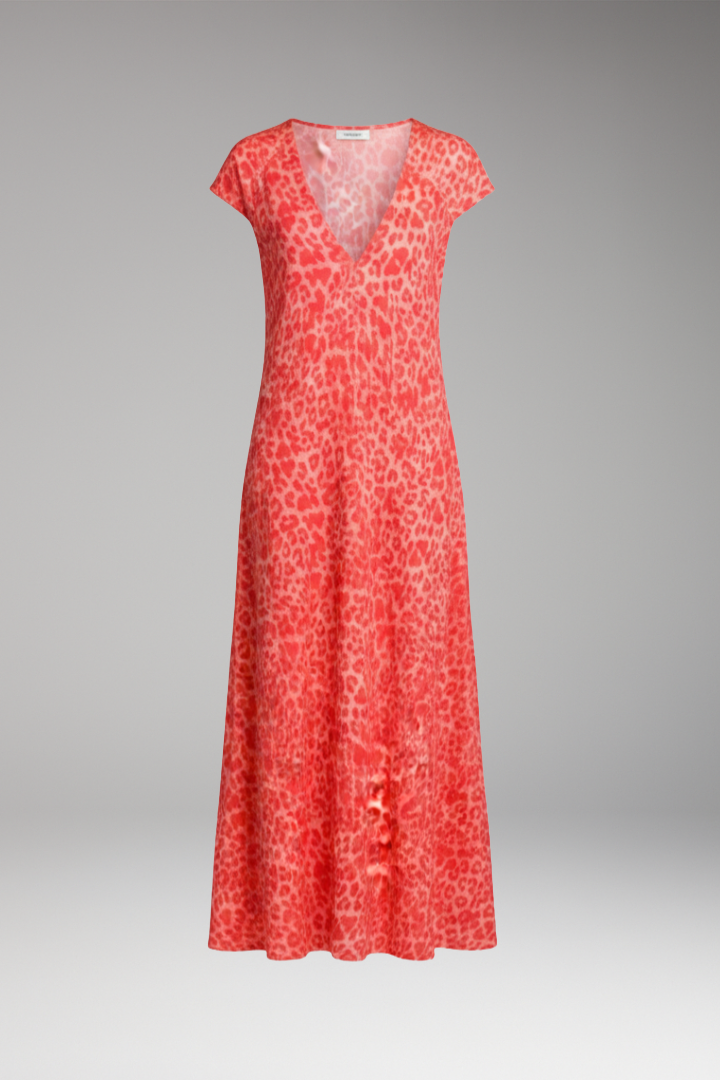Women's Maxi Dress with V Neck and Printed Pattern