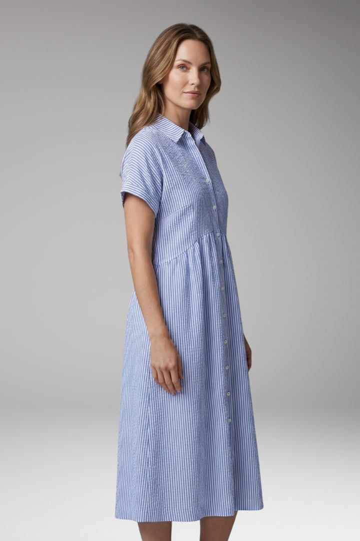 Women's Shirt Dress with Button Front and Side Pockets