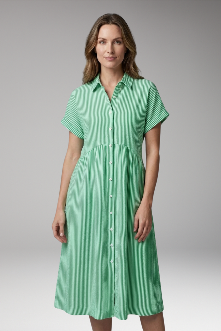 Women's Shirt Dress with Button Front and Side Pockets
