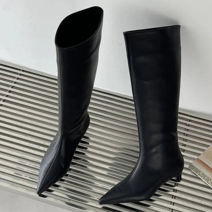 Women's Knee-High Boots with Pointed Toe and Tall Shaft